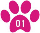 A pink paw print with the number 0 1 in it.