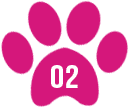 A pink paw print with the number 0 2 in it.