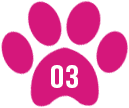 A pink paw print with the number 3 in it.