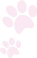 A green and pink background with two paw prints.