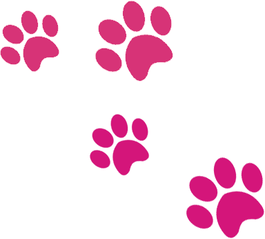 A green background with pink paw prints.
