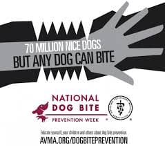 A poster with the words " 7 0 million nice dogs but any dog can bite ".