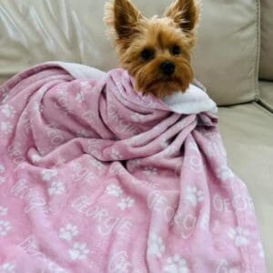 small dog wrapped in pink blanket