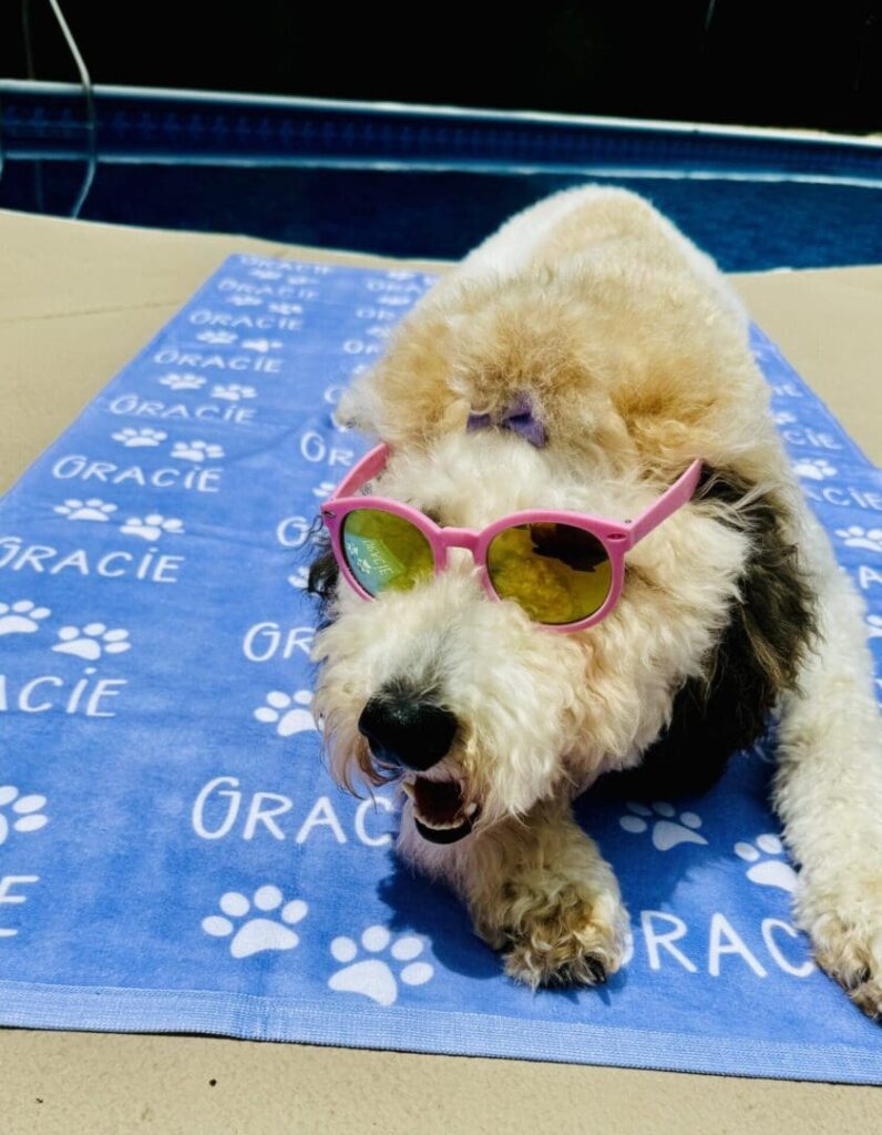 pet towels pet towels