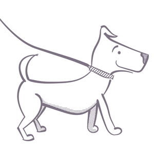 Animal Communication