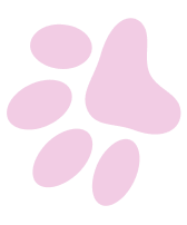 Purple-Paw Purple Paw