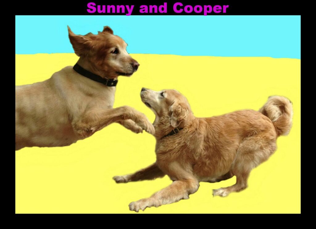 Sunny Cooper 1024x743