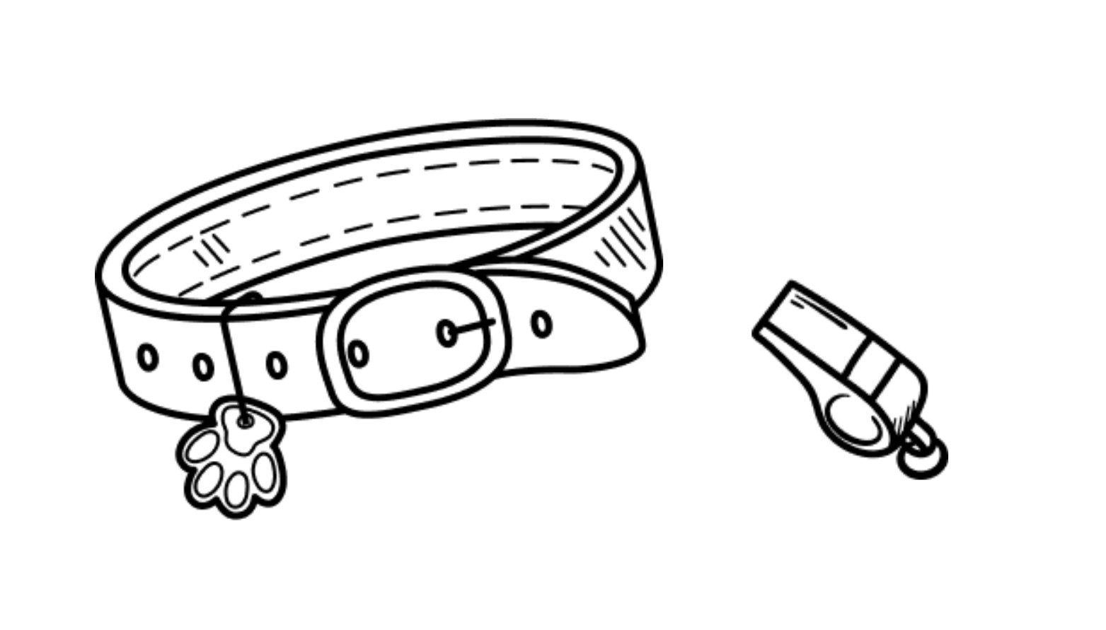 Levels Dog Training Classes