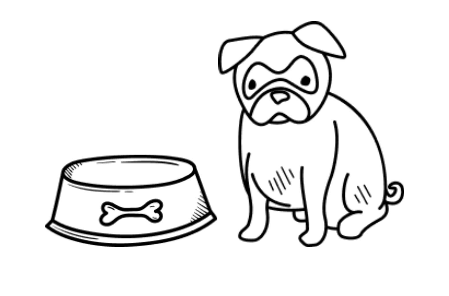 Basic Puppy Training & Socialization