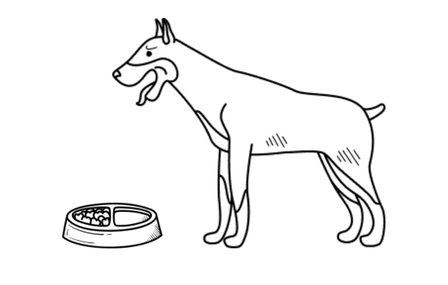 Calming Cautious Canine