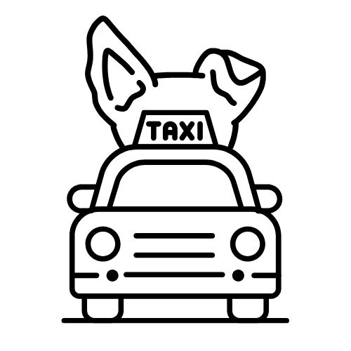 doggy day care taxi rides doggy day care taxi rides