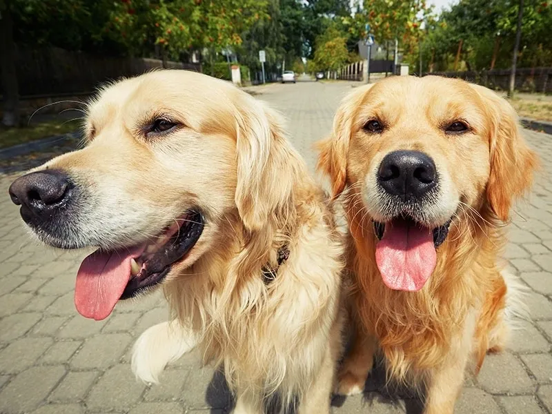 Reuqest a Reservation existing client