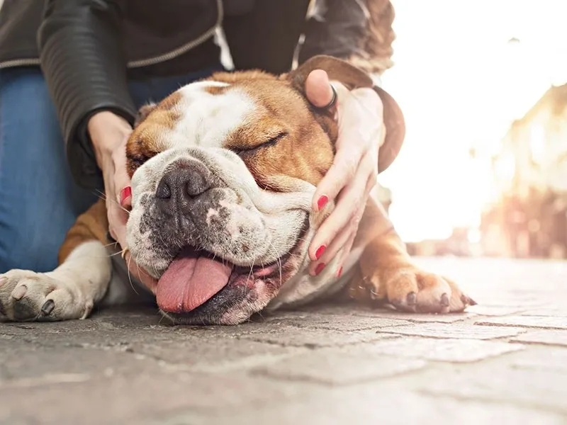 Reuqest a Reservation new client