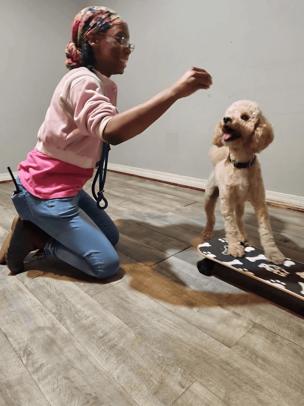 A person encourages a dog to get on a skateboard using a treat.