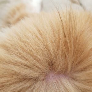 dog grooming undercoat dog grooming undercoat