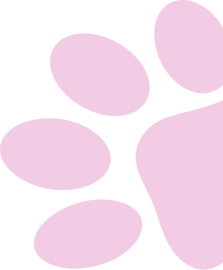 paw right