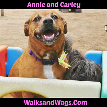 Annie & Carley