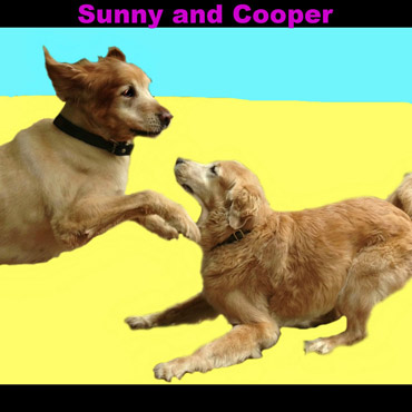 Sunny & Cooper